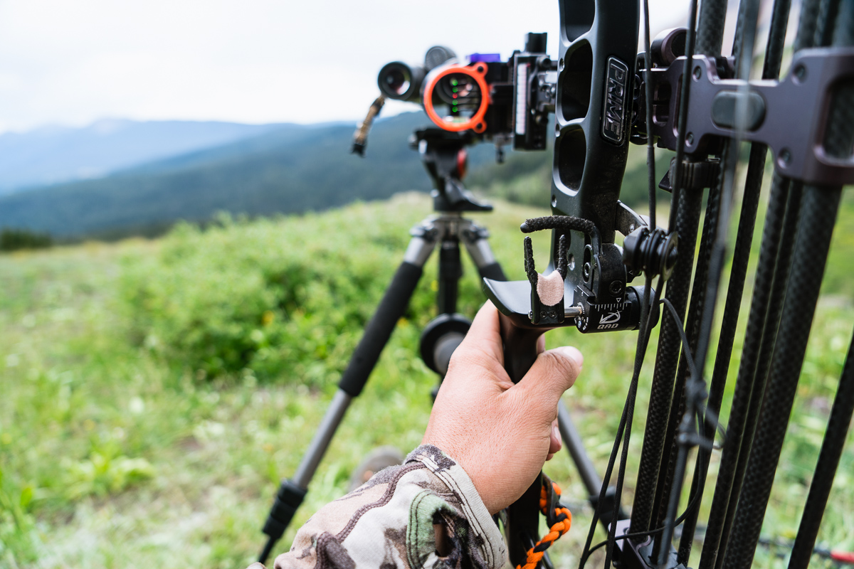 Limb Driven Arrow Rests 3 Reasons You Should Shoot One